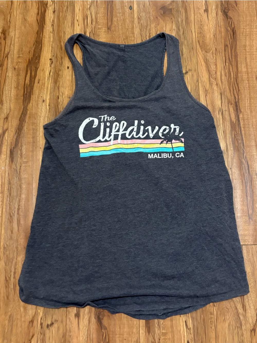 The Cliff diver Malibu Tank with Rainbow Stripe